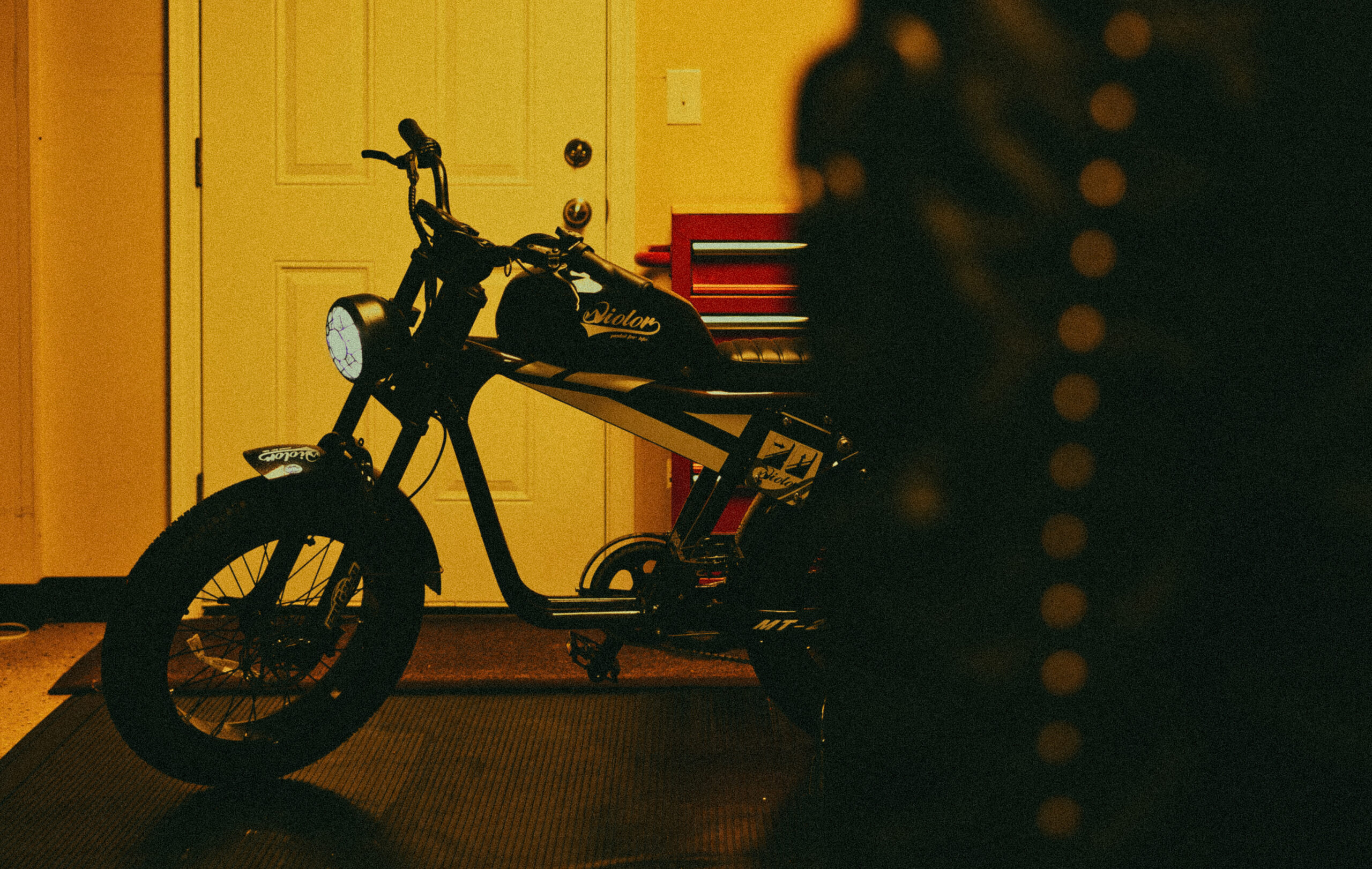 Midnight Tiger: A Winter Ride with Qiolor